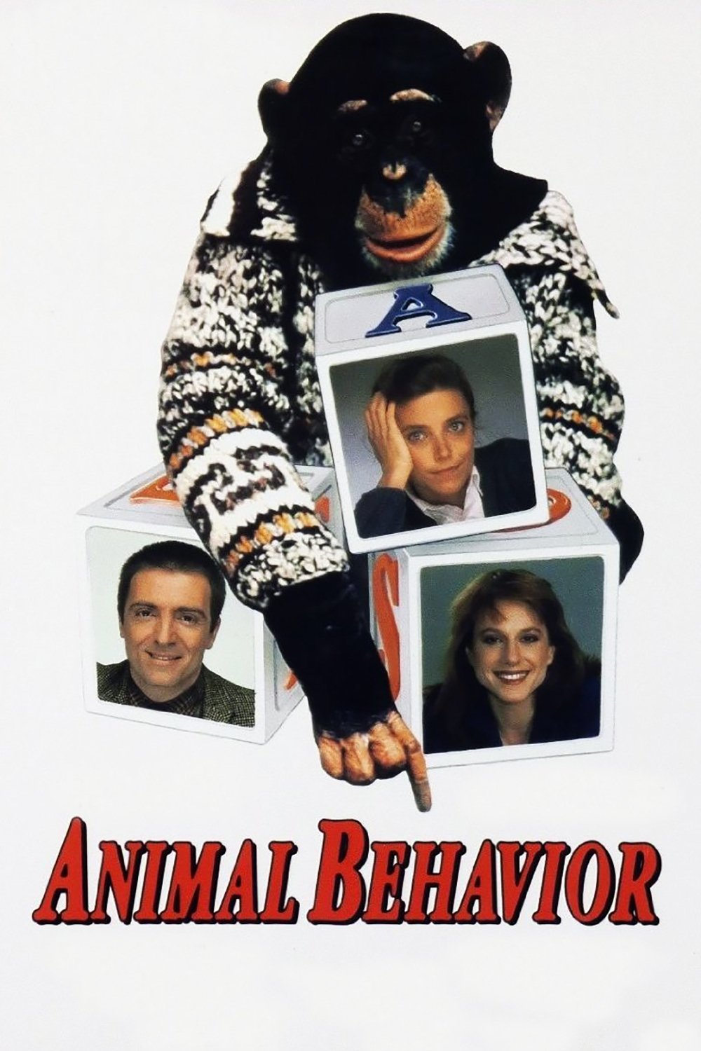 Постер Animal Behavior
